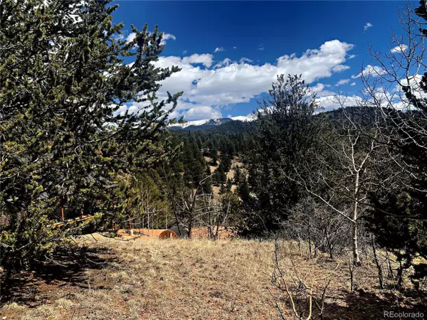 516 Fairview Dr, Cripple Creek, CO 80813