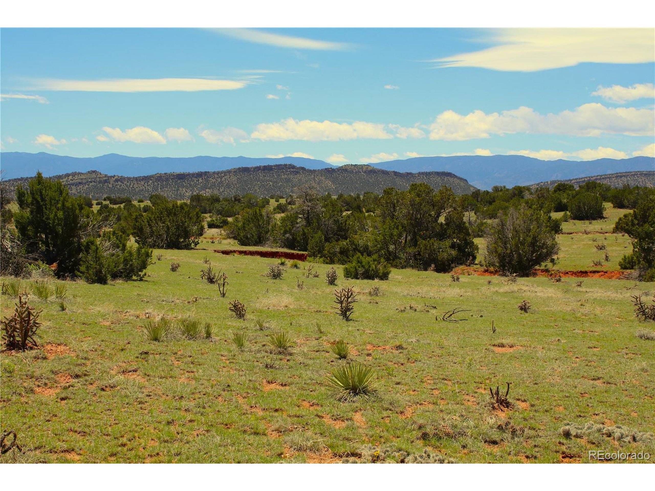 Canon City, CO 81212,Address not disclosed