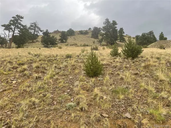 Como, CO 80432,901 Elkhorn View Dr