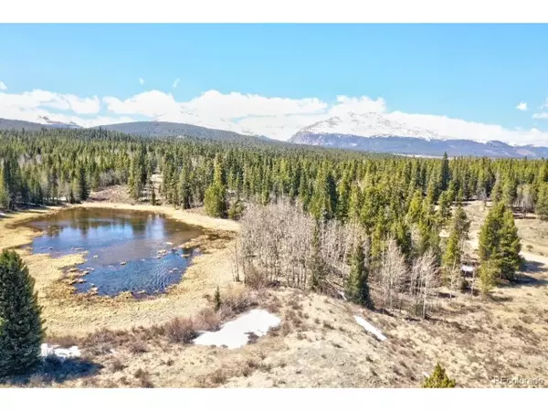 57 Bennett Rd,  Fairplay,  CO 80449