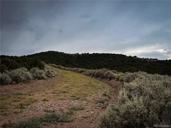 Fort Garland, CO 81133,0 Rodriguez Rd