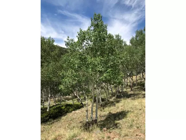 Bonanza, CO 81155,1st Ave