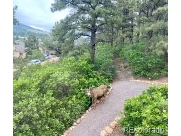 Palmer Lake, CO 80133,113 Oakdale Dr