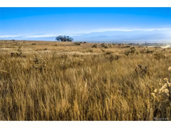 Fort Collins, CO 80524,Address not disclosed