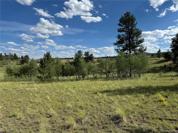 Hartsel, CO 80449