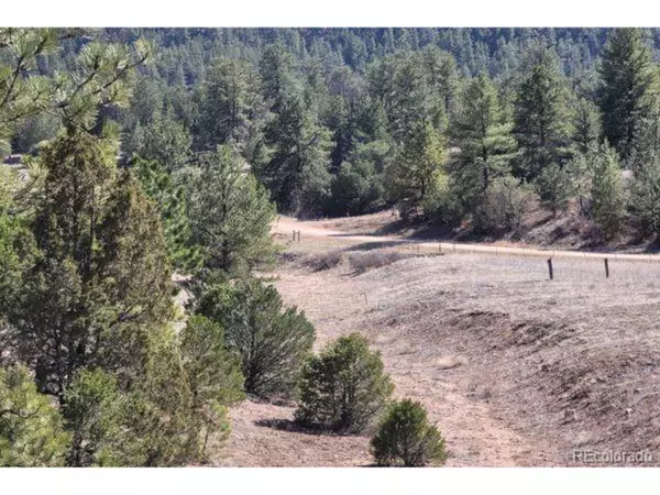 Cotopaxi, CO 81223,550 Indian Wells Rd