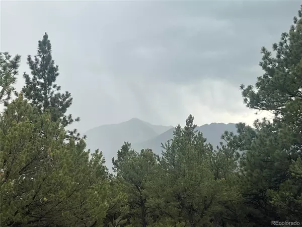 Buena Vista, CO 81211,28933 Timber Rdg