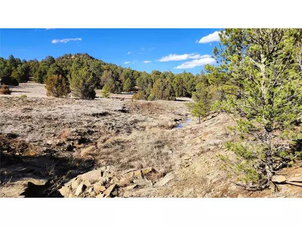 Trinidad, CO 81082,28970 County Road 16
