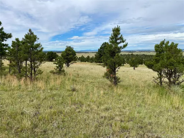 Ramah, CO 80832,32011 Cattle Circle