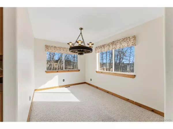 Fairplay, CO 80440,316 3rd St