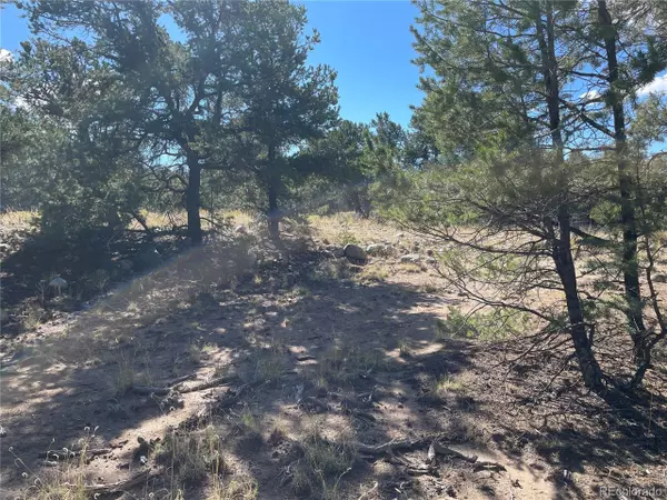 Crestone, CO 81131,3545 Fallen Tree Pl