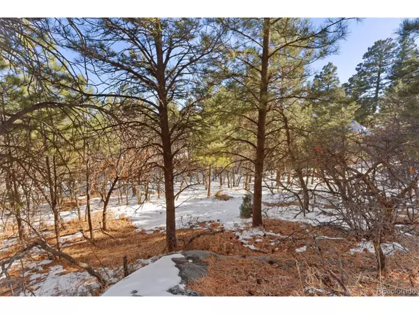 Colorado Springs, CO 80906,5960 Buttermere Dr