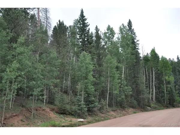 Wellington Dr, Cripple Creek, CO 80813