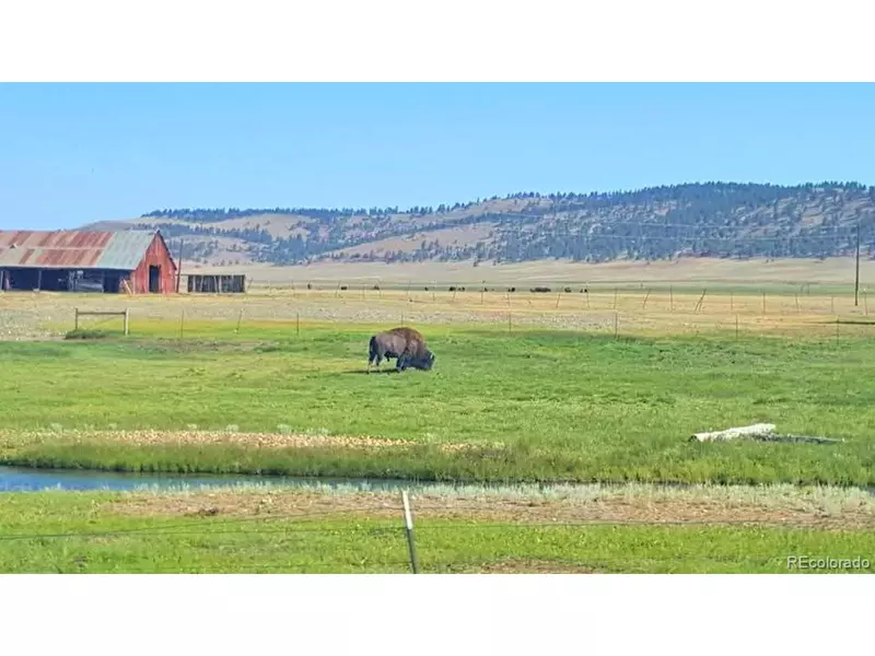 3365 Ute Trce, Hartsel, CO 80449