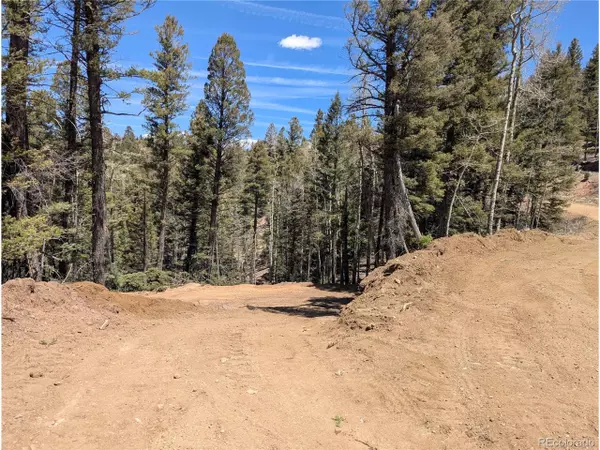 Fort Garland, CO 81133,5653 Balleroy Rd