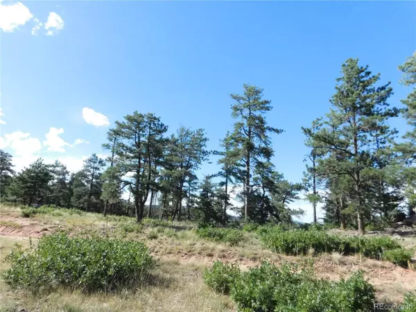 Larkspur, CO 80118,5965 Ottawa Ct