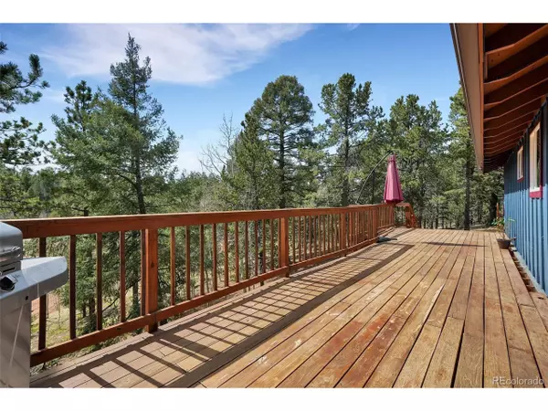 Divide, CO 80814,15 Rainbow Ln