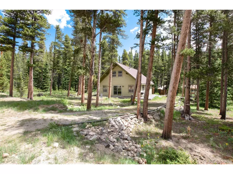 178 Elk Rd, Idaho Springs, CO 80452