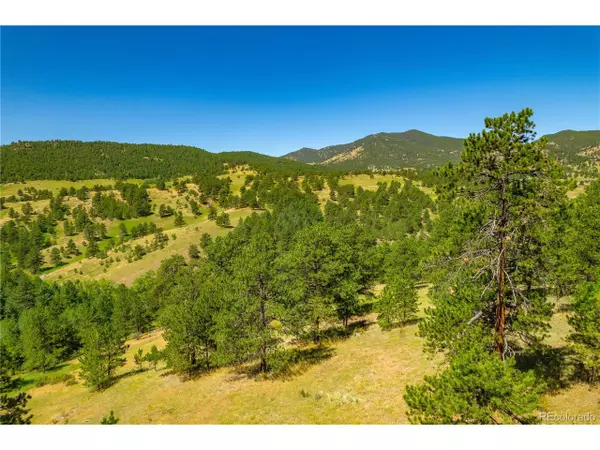 6256 Crawford Gulch Rd, Golden, CO 80403