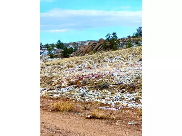 Hartsel, CO 80449,30 Black Beaver Rd