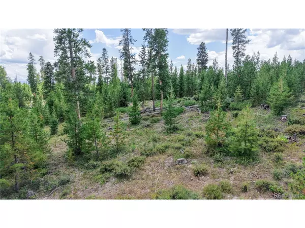 Grand Lake, CO 80447,90 County Road 452