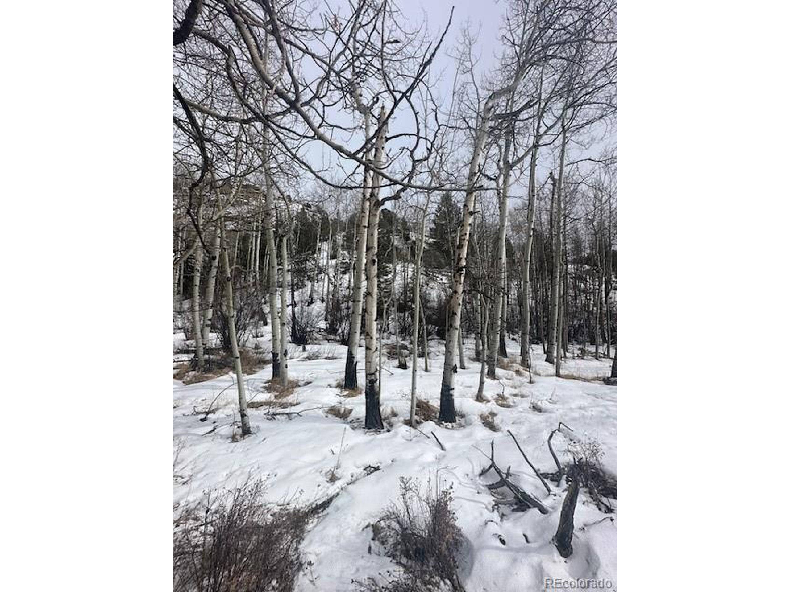 Cripple Creek, CO 80813,524 Buckhorn Rd