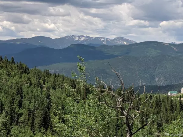 0 Bald Mountain and York Gulch Rds, Idaho Springs, CO 80452