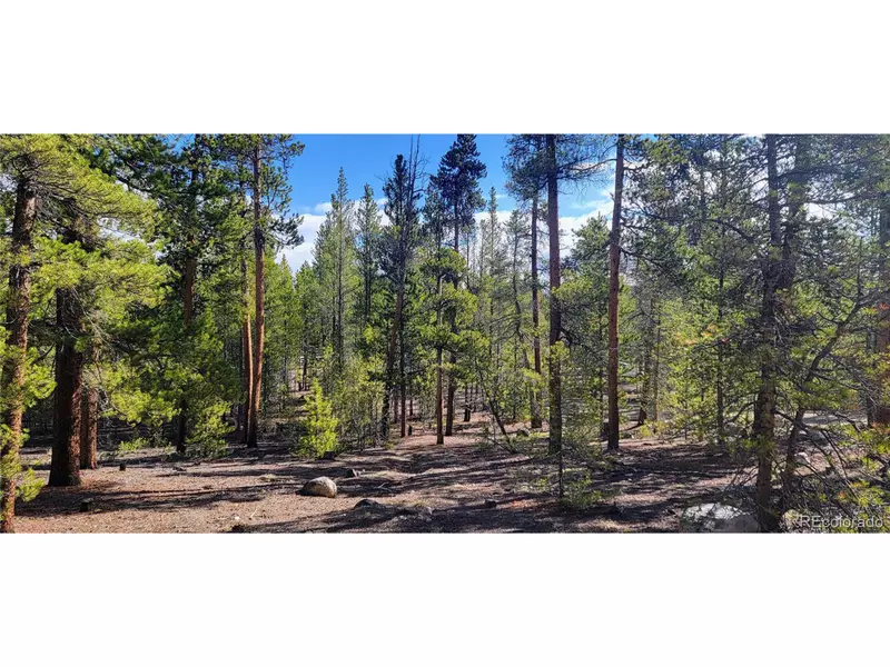 475 Birch Dr, Twin Lakes, CO 81251