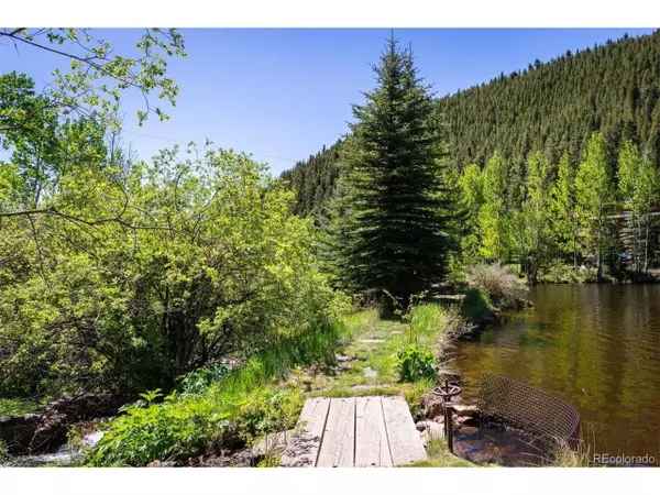 Dumont, CO 80436,859 Mill Creek Rd