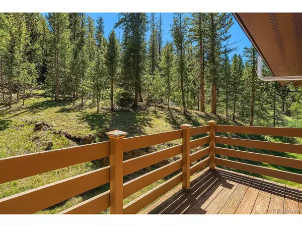 Conifer, CO 80433,28268 Shadow Mountain Dr