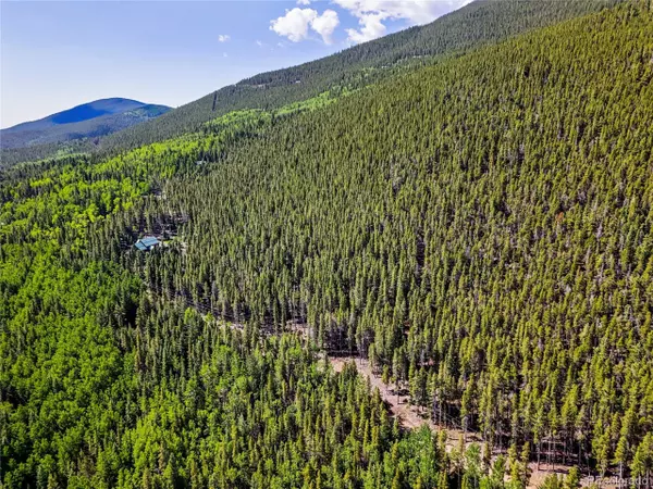 Idaho Springs, CO 80452,0 Valley View Dr