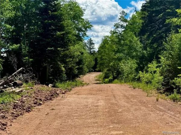 Fort Garland, CO 81133,2348 Benton Pl