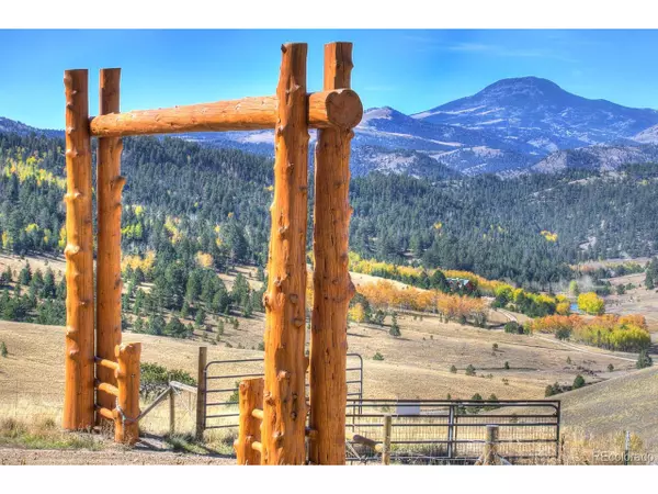 4435 County Rd 104, Guffey, CO 80820