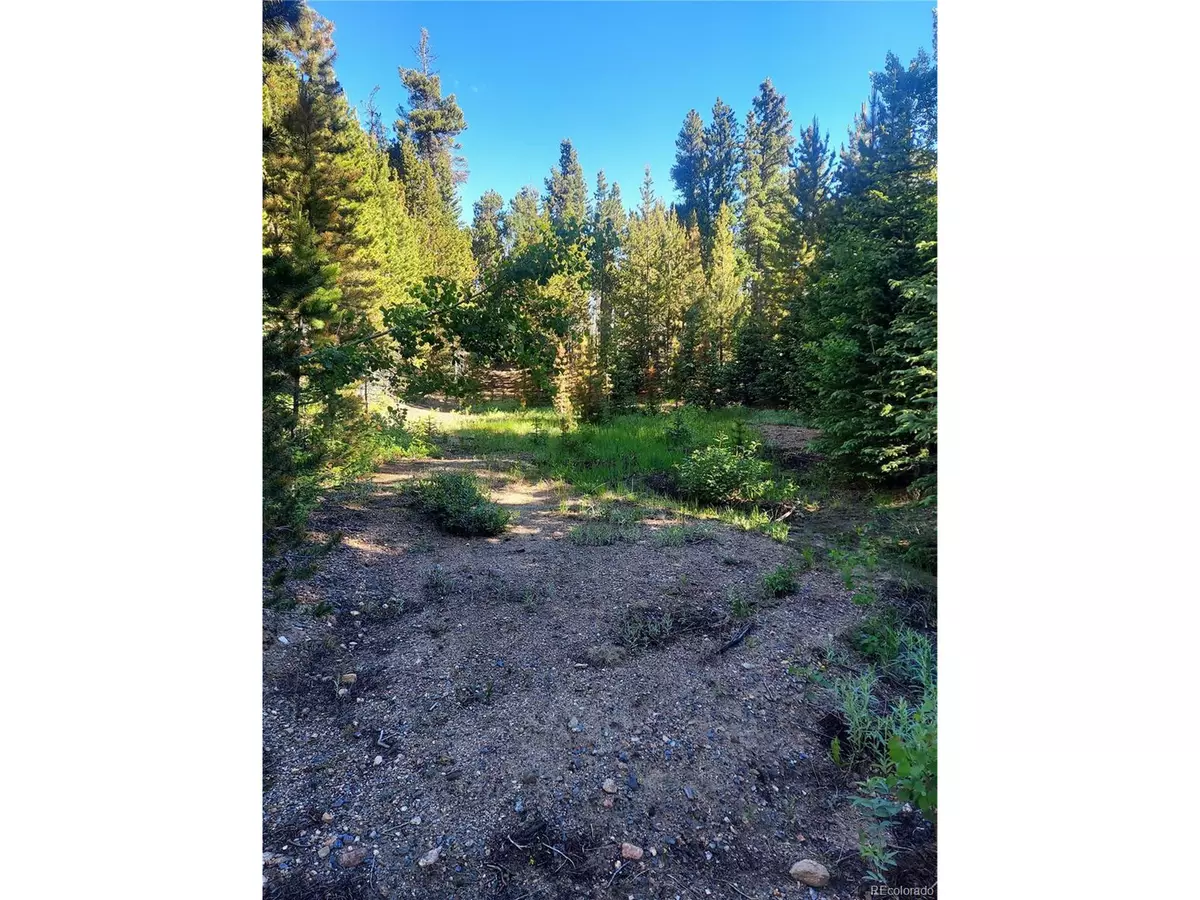 Idaho Springs, CO 80452,LOT 9, 10, & 11 Deer Trail Rd