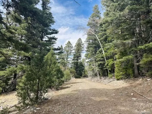 Mosca, CO 81146,313 Arrastre Rd