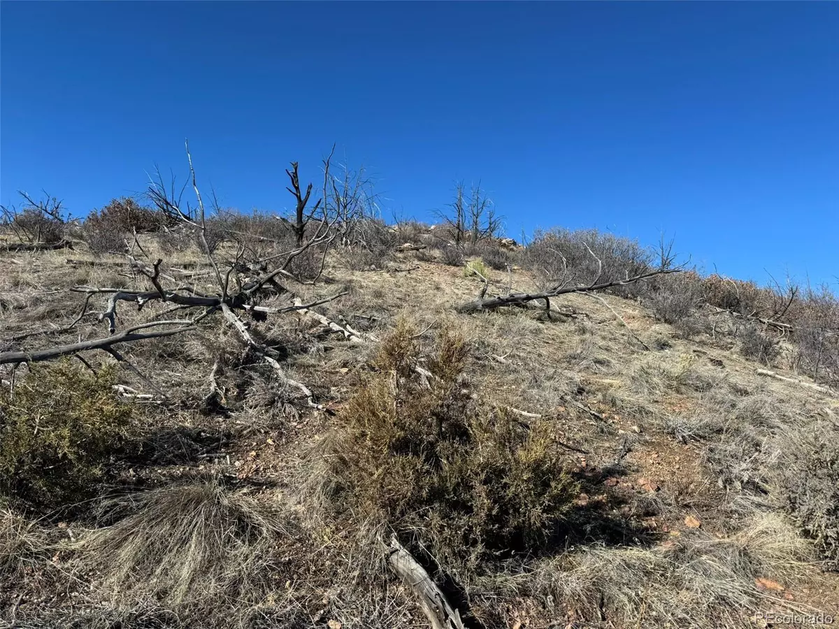 Cotopaxi, CO 81223,F Path and 37th Trl