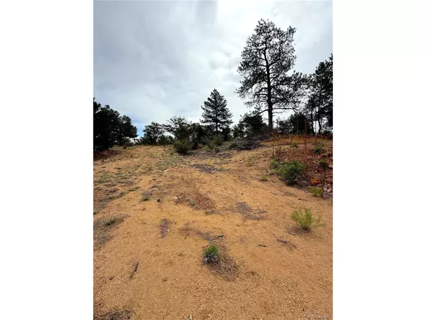 Cotopaxi, CO 81223,TBD County Road 28