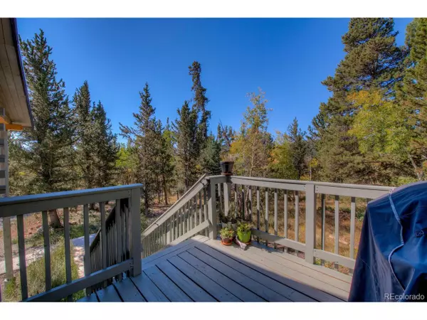 Alma, CO 80420,690 Adventure Rd