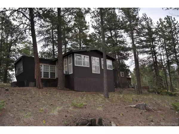 3313 Pathfinder Rd, Florissant, CO 80816