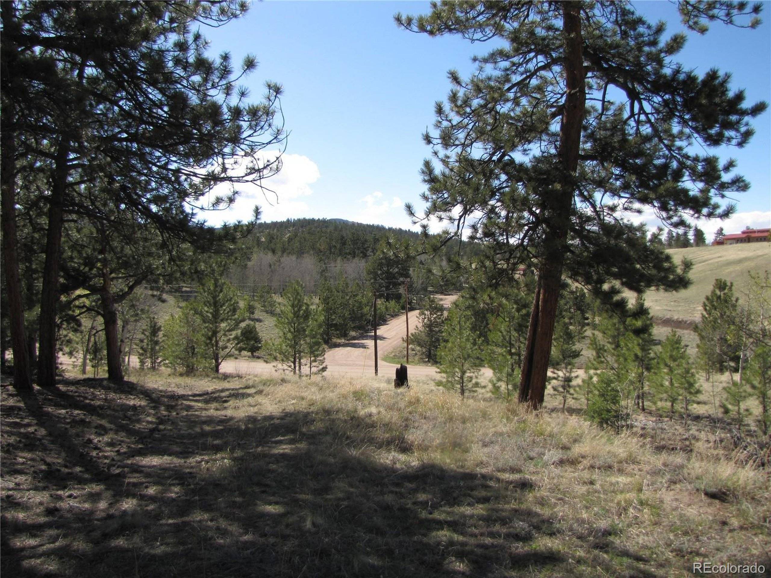 Hartsel, CO 80449,10073 Ranch Rd