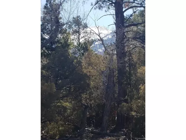 Mosca, CO 81146,Address not disclosed