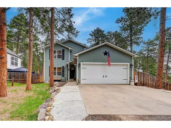 Woodland Park, CO 80863,1004 W Browning Ave