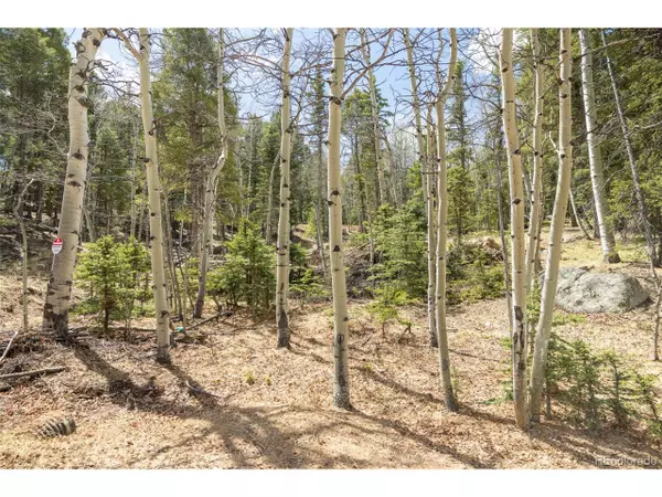 Divide, CO 80814,714 Will Stutley Dr