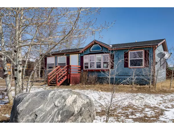 530 Clark St, Fairplay, CO 80440