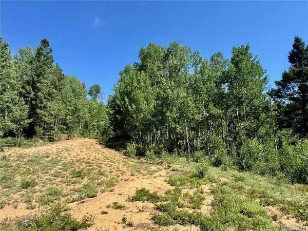 Fort Garland, CO 81152,5850 Richardson Rd