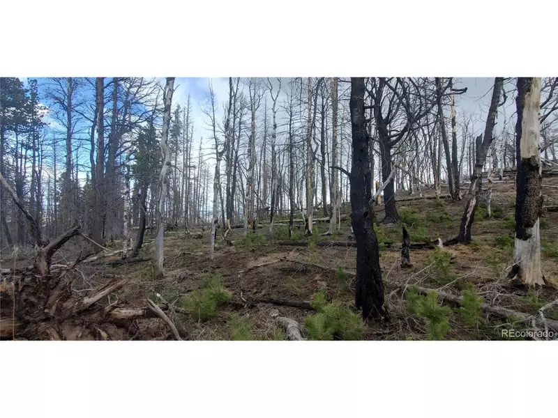 Fort Garland, CO 81133