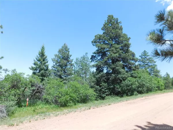 Larkspur, CO 80118,6467 Thunderbird Dr