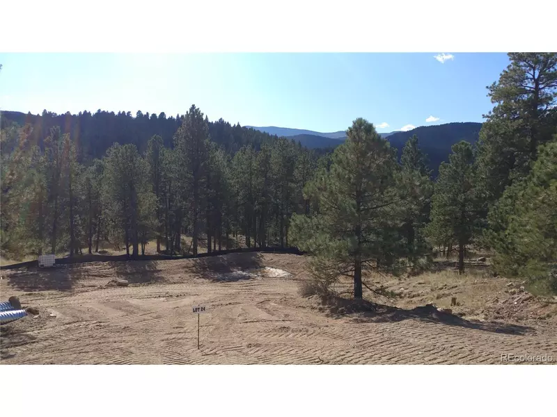 28208 Lone Elk Trl, Evergreen, CO 80439