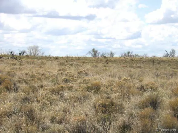 Crestone, CO 81131,558 Cottonwood Creek Rd