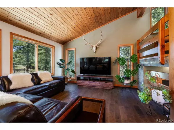 Woodland Park, CO 80863,225 Sunnywood Ln